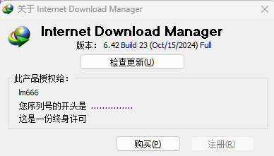 Internet Download Manager 6.42